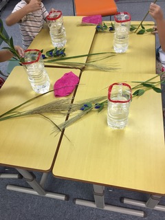 2016-09-09 17.18.21.jpg
